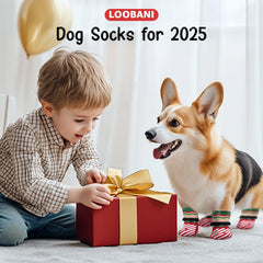 Diseño LOOBANI para perros mayores, aporta estabilidad en el hogar.