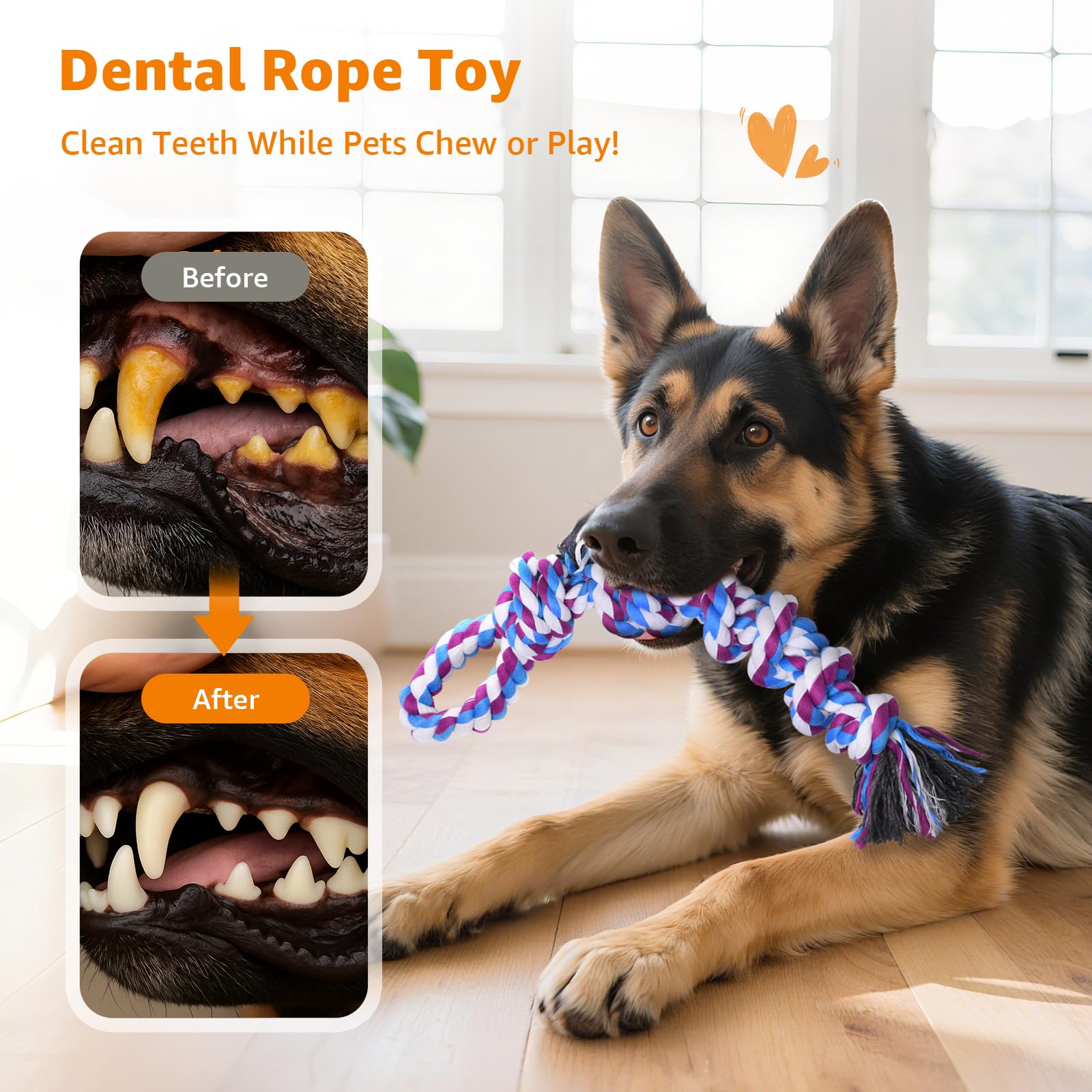 LOOBANI: doble juego de cuerda para perros de todos los tamaños, ideal para rotación.