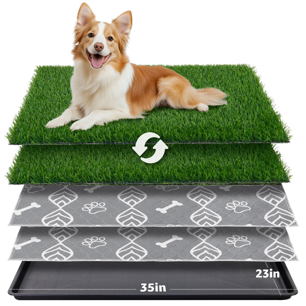 LOOBANI hierba artificial en primer plano para entrenamiento interior y sensación natural.