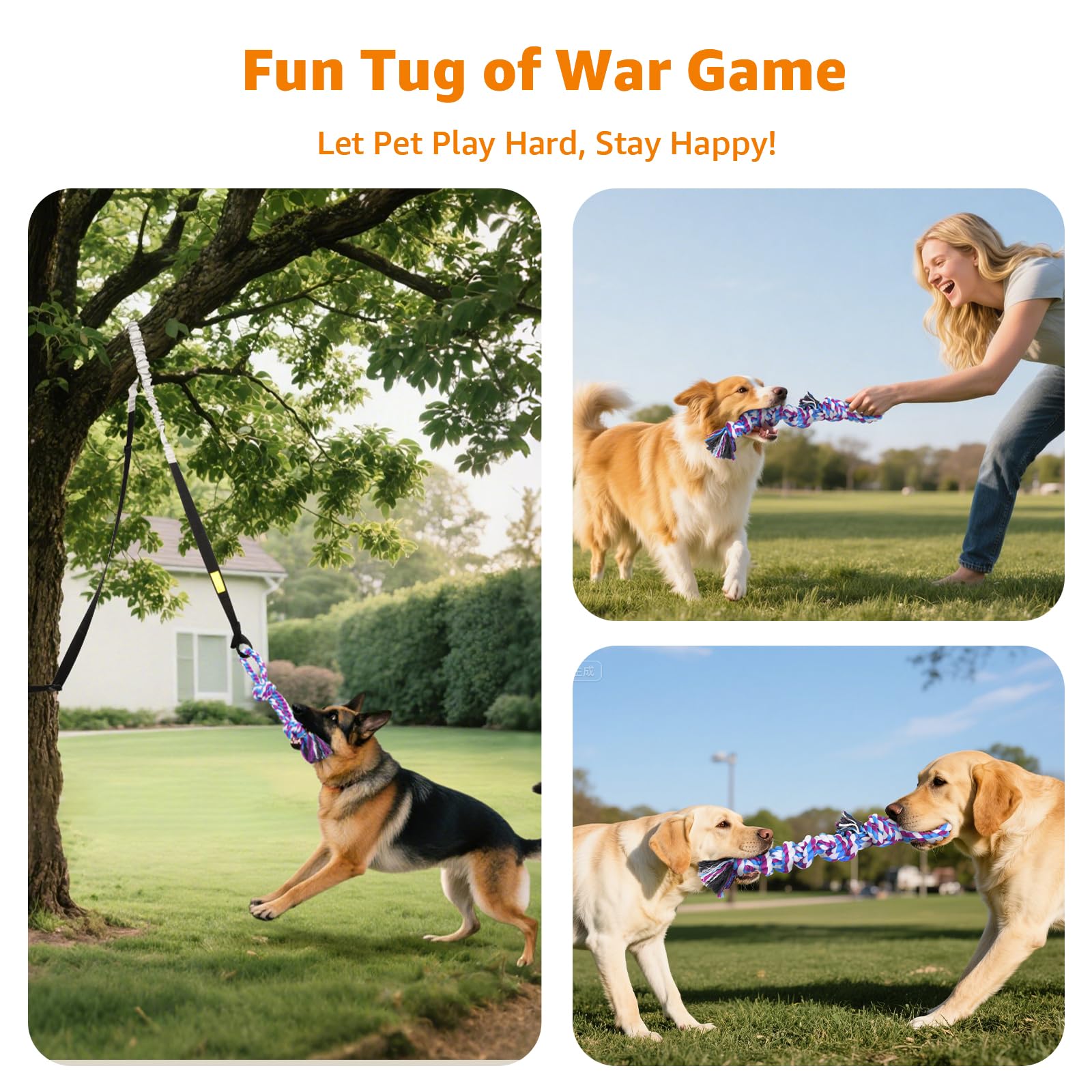 LOOBANI: juego diario de cuerda para perros, promoviendo actividad física estable.