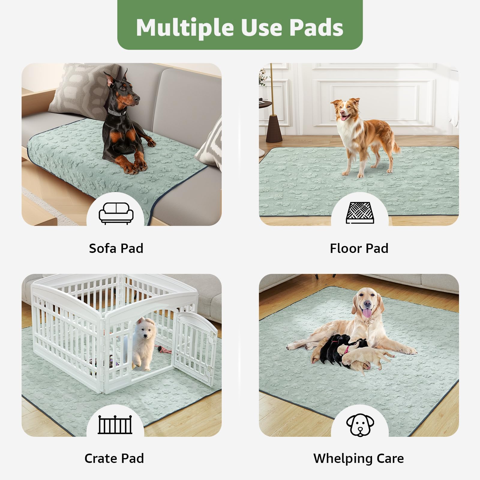 LOOBANI ofrece protección y confort para tu mascota durante su descanso.