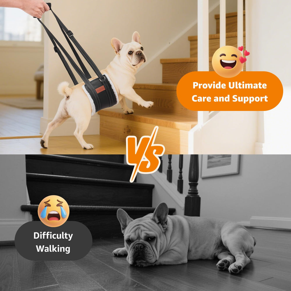 LOOBANI Sling en uso para levantar patas traseras, facilitar movilidad.