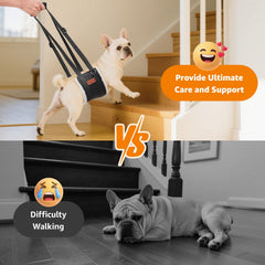 LOOBANI Sling en uso para levantar patas traseras, facilitar movilidad.
