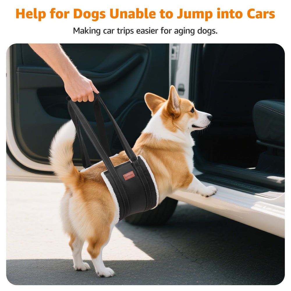 LOOBANI Sling para Perro Entrar al Coche: facilita acceso sin esfuerzos.