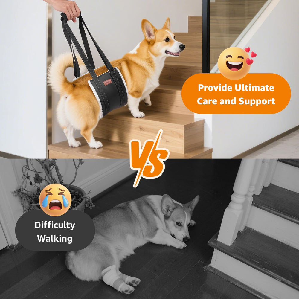 LOOBANI Sling para Perro Subir Escaleras: ayuda a levantarse con seguridad.