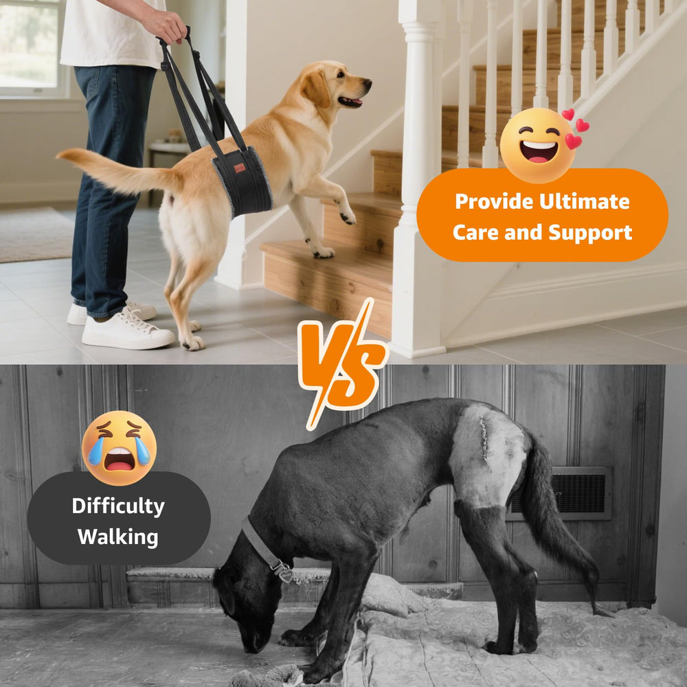 LOOBANI sling para subir escaleras, facilita movimientos diarios del perro.