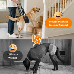 LOOBANI sling para subir escaleras, facilita movimientos diarios del perro.