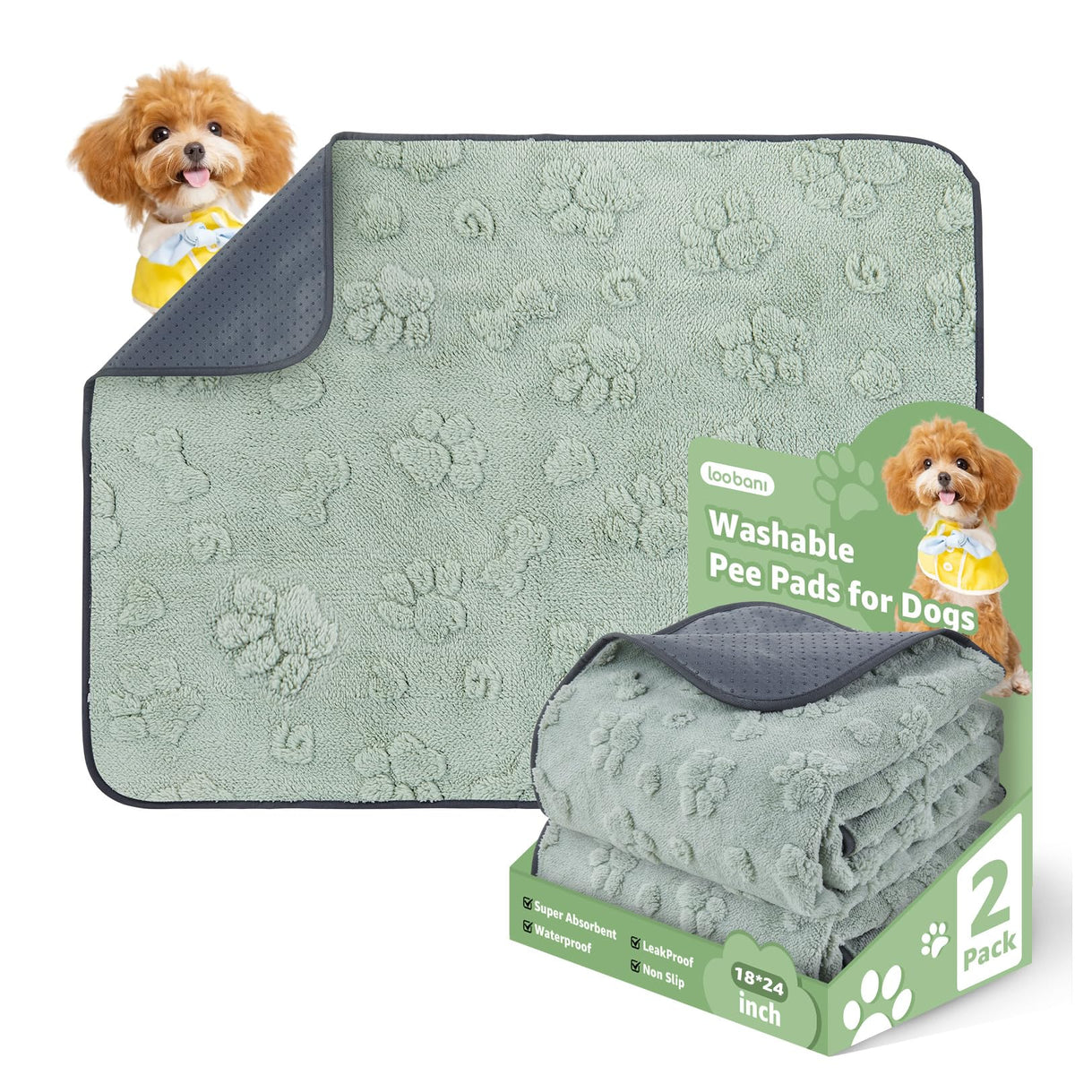 LOOBANI tapete higienico para perros, absorbente y protege el suelo durante el entrenamiento.