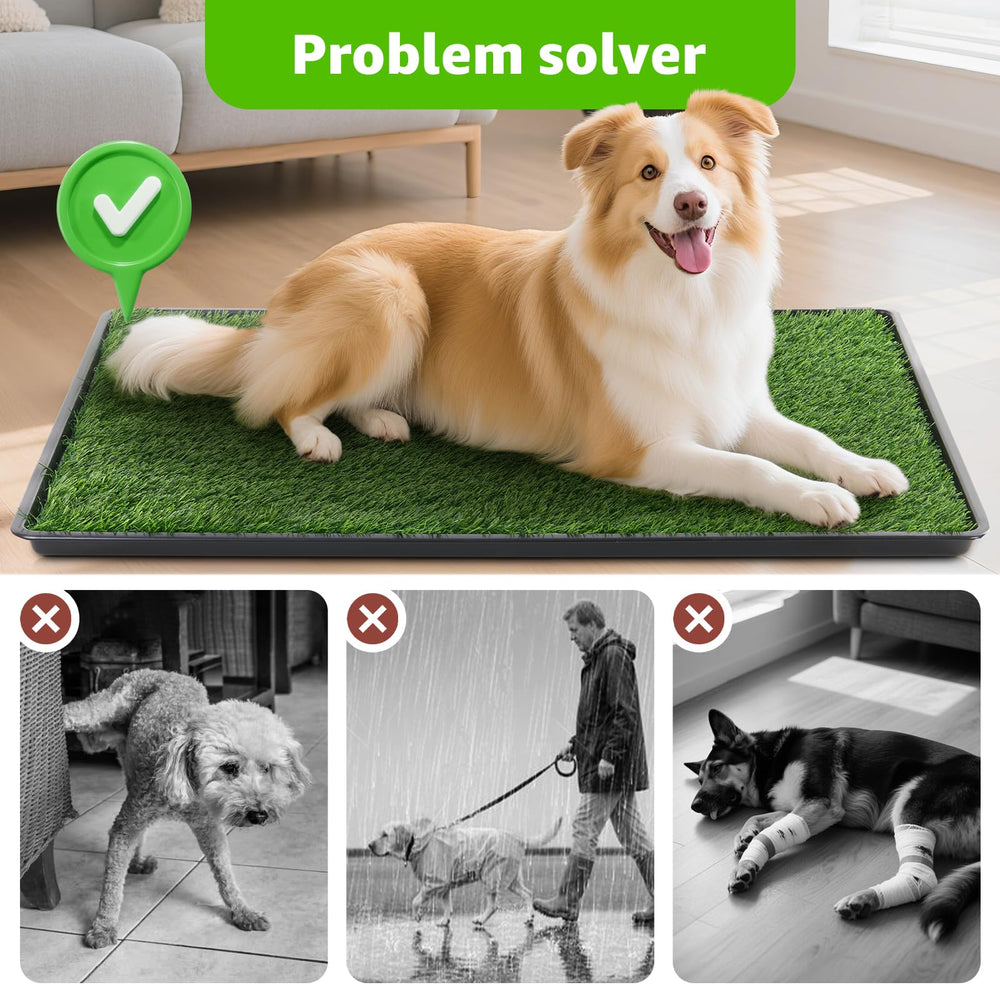 LOOBANI ideal para espacios reducidos y entrenamiento de higiene para cachorros.