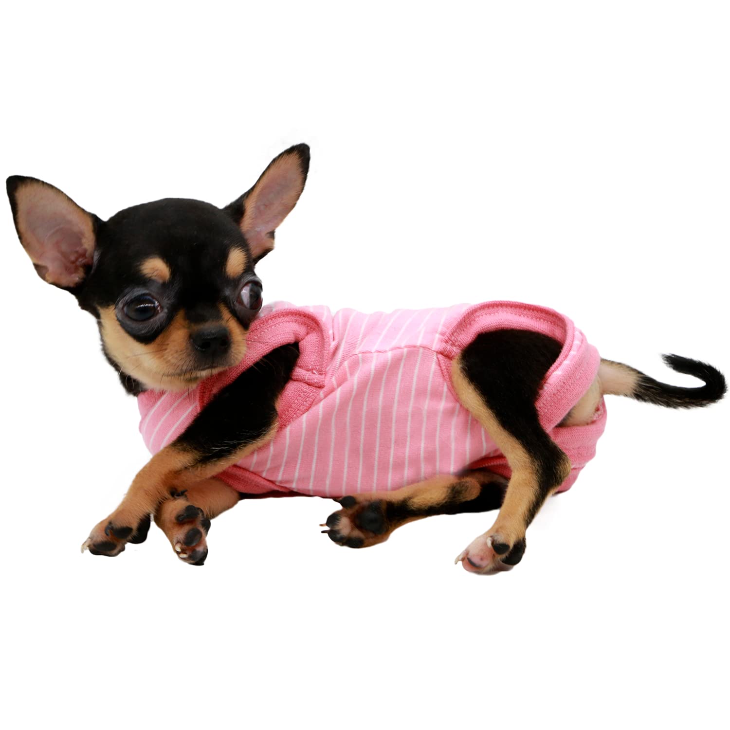 LOPHHIPETS prenda XXS para chihuahua, fácil de vestir y evita escapes.