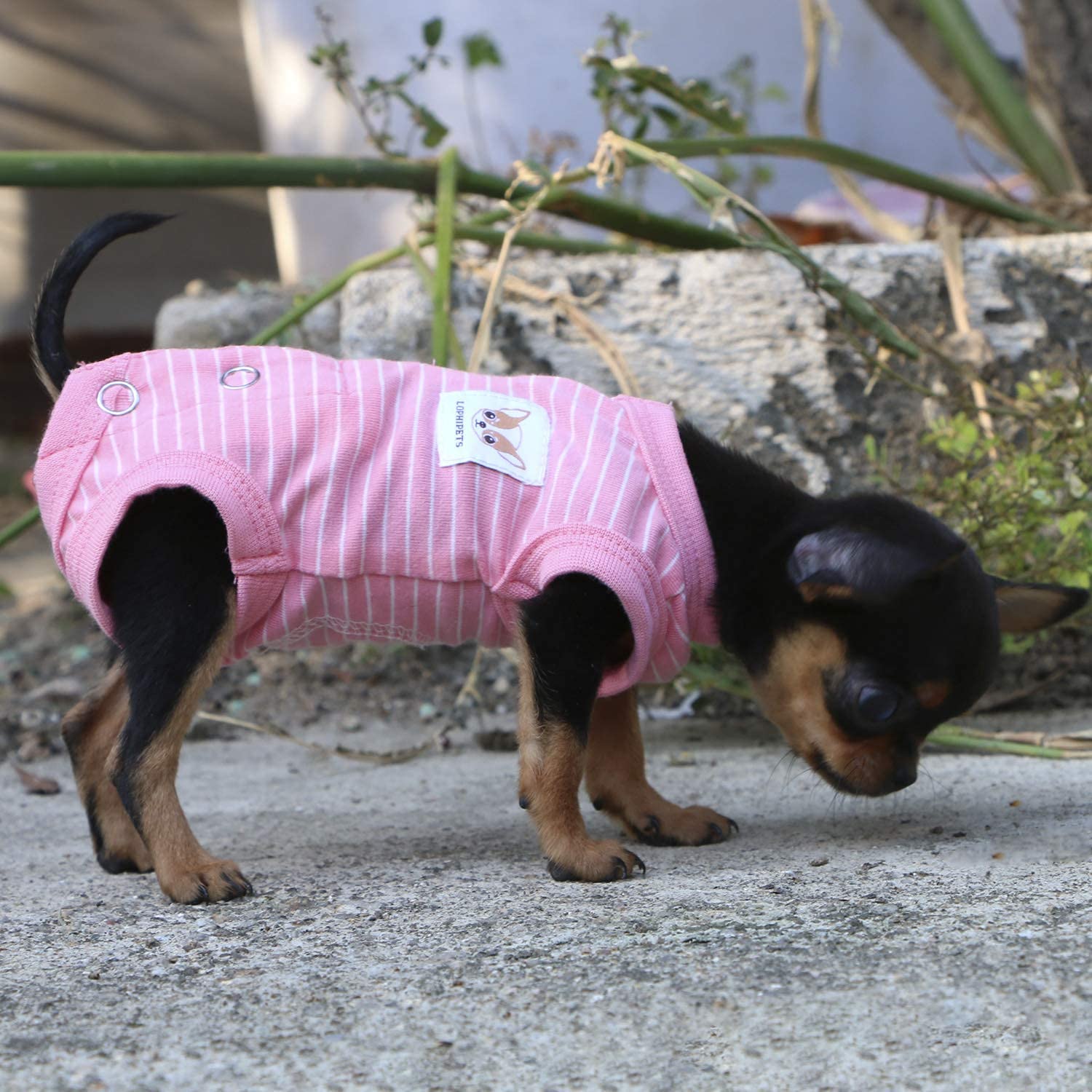 LOPHHIPETS diseño práctico con espacio trasero para pipí durante uso diario.