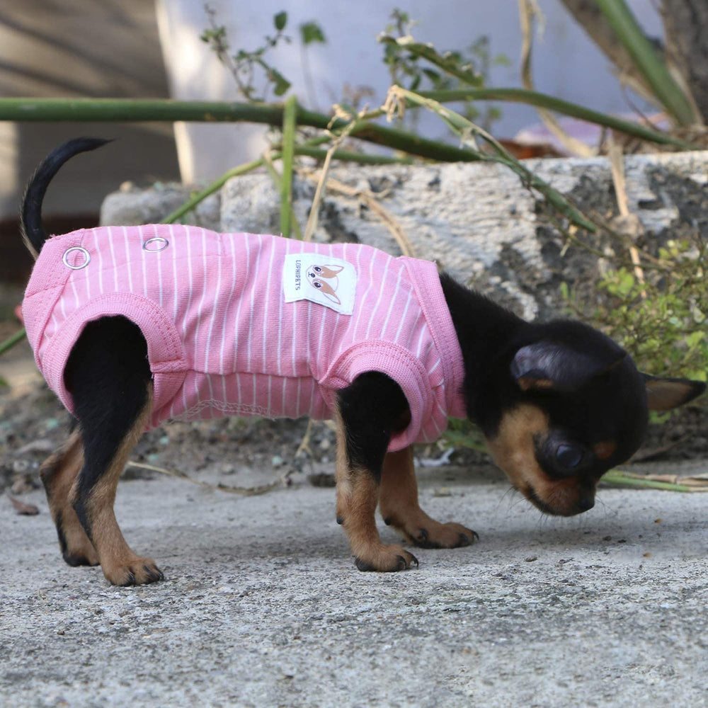 LOPHHIPETS diseño práctico con espacio trasero para pipí durante uso diario.