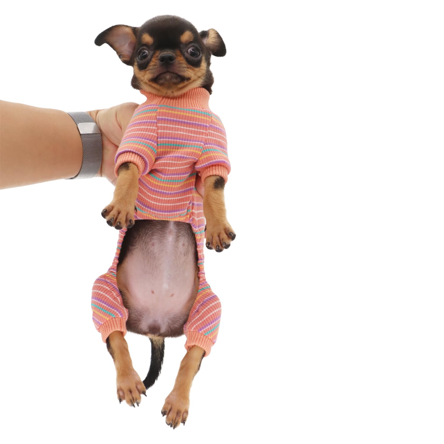 Pijama de fácil puesta LOPHIPETS para perros pequeños, ahorro tiempo en rutinas.
