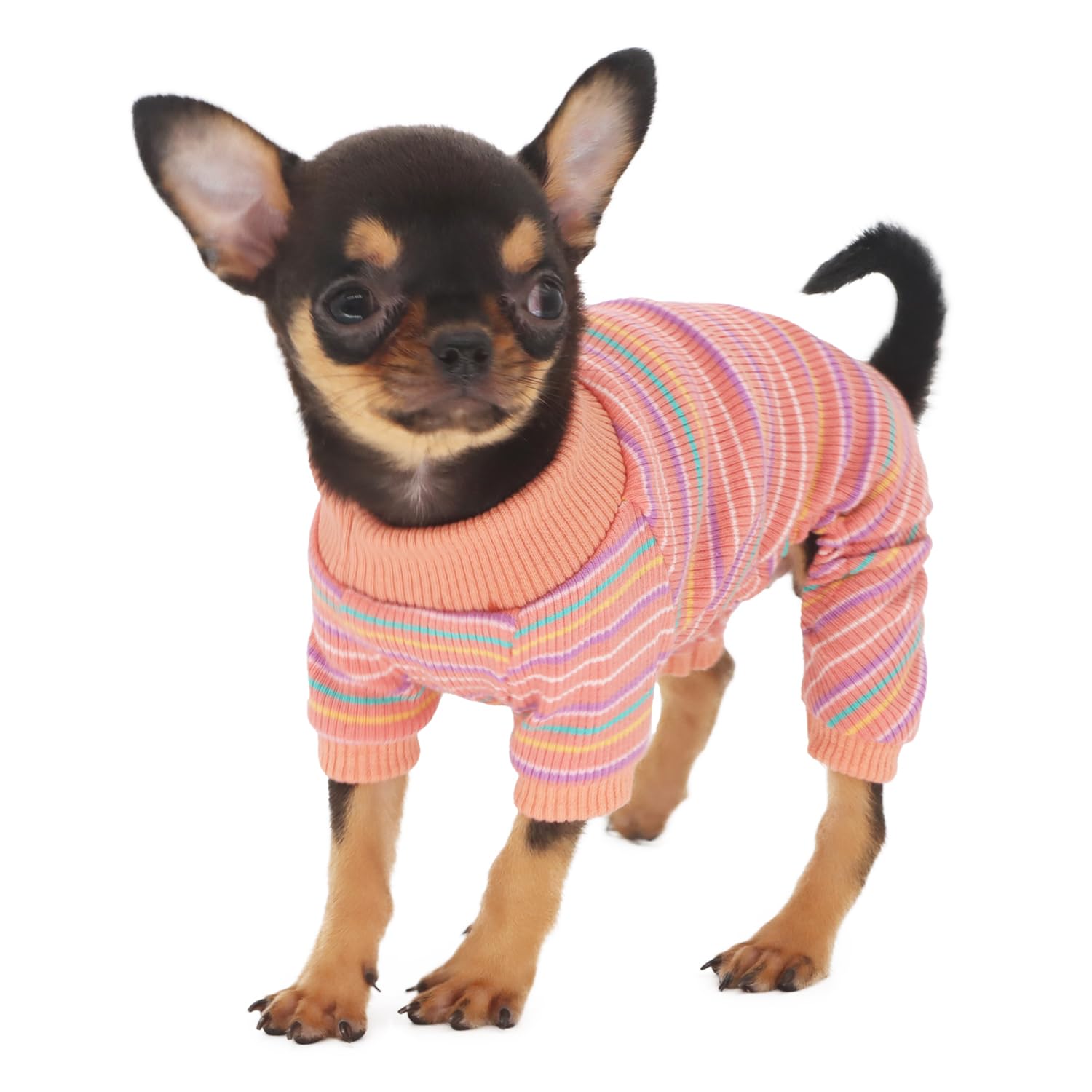 Pijama rosa LOPHIPETS para perros pequeños, comodidad durante paseos y momentos en casa.