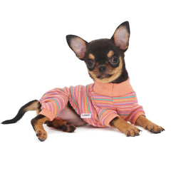 Pijama LOPHIPETS para yorkshire teacup en rosa, cómodo diseño de cuatro patas.