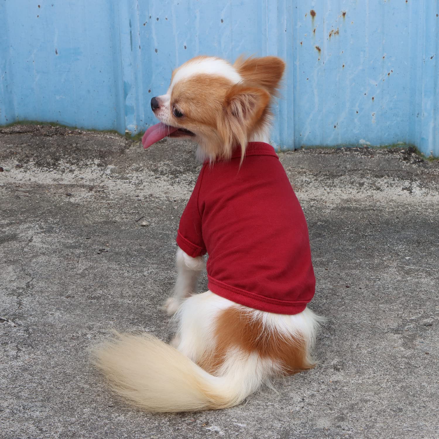 Camiseta Lophipets, color rojo, visibilidad mejorada durante paseos.