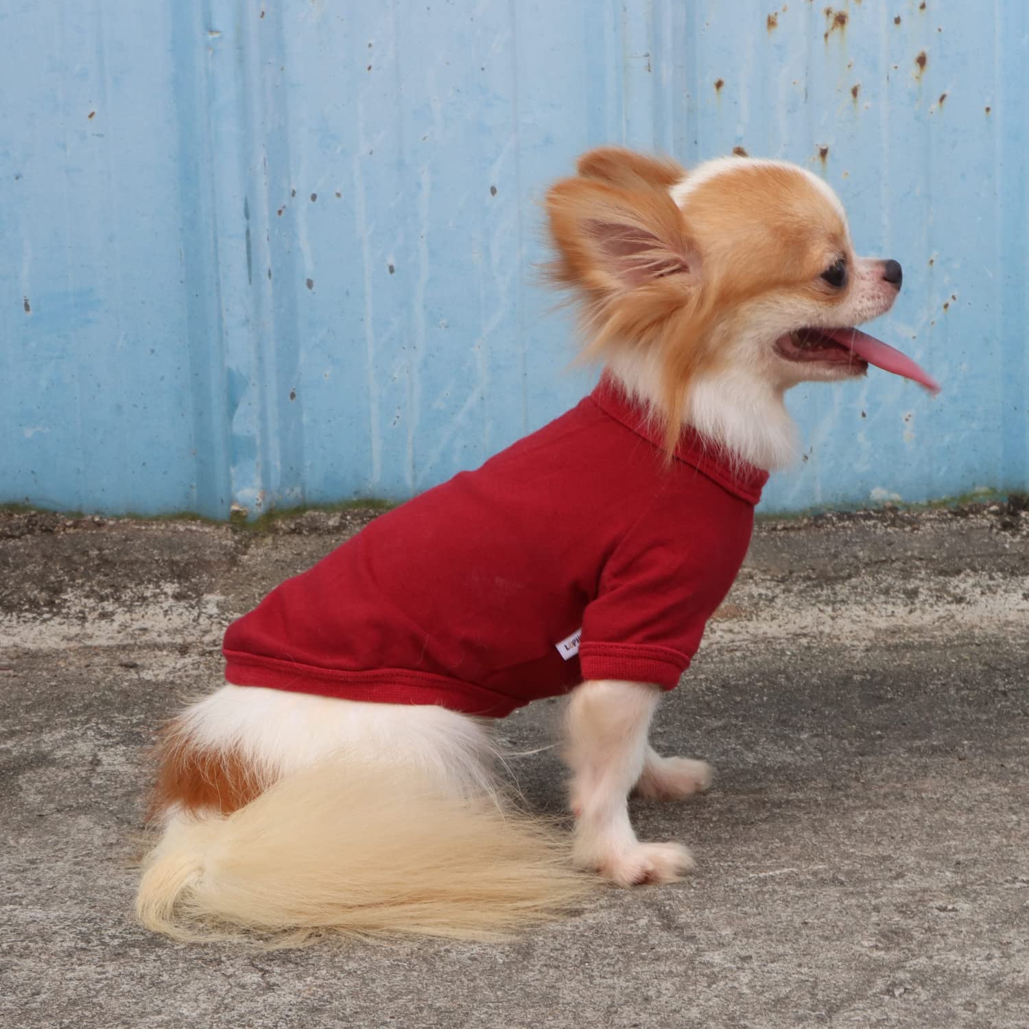 Camiseta Lophipets, lavado en frío para mantener color y elasticidad.