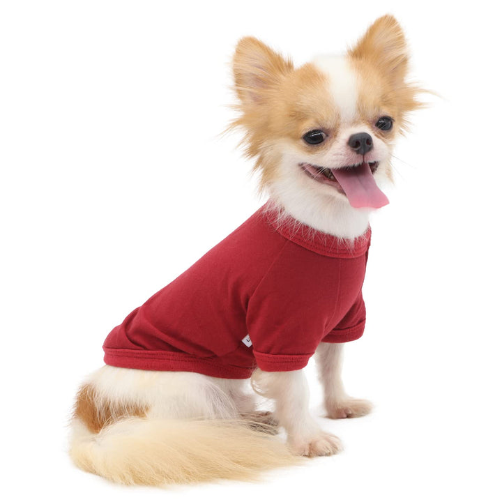 Camiseta Lophipets para perro pequeño, vista frontal, comodidad diaria.