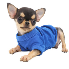 LOPHIPETS camiseta para perro costado azul, ajuste cómodo para cualquier actividad