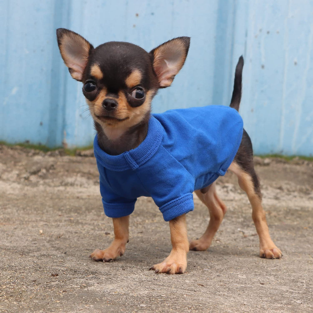 LOPHIPETS camiseta para perro lavado frío azul, mantenimiento sencillo