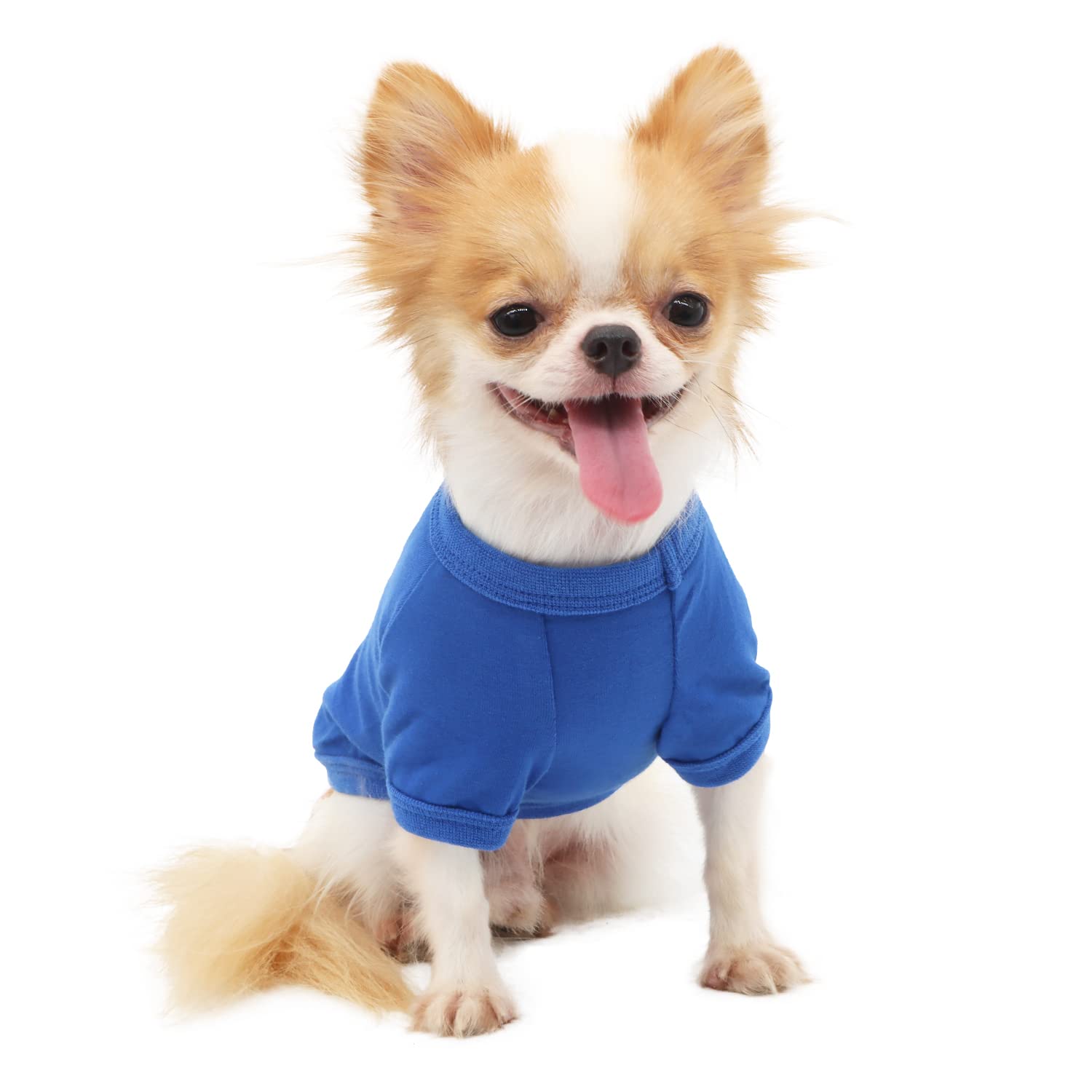 LOPHIPETS camiseta para perro pequeño azul trasera, costuras reforzadas para durabilidad