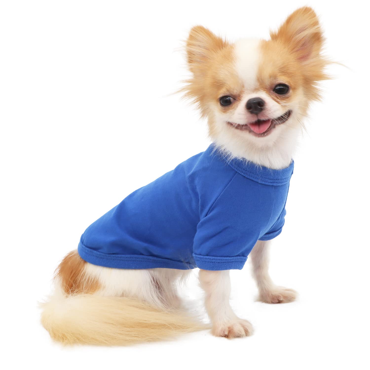 LOPHIPETS camiseta para perro pequeño azul frontal, suave algodón para piel sensible