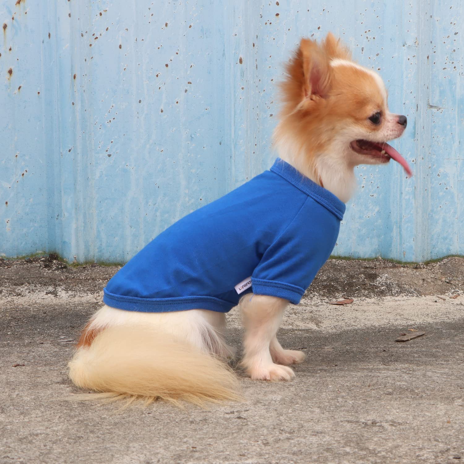 LOPHIPETS camiseta para perro pequeño azul, lavado en frío recomendado
