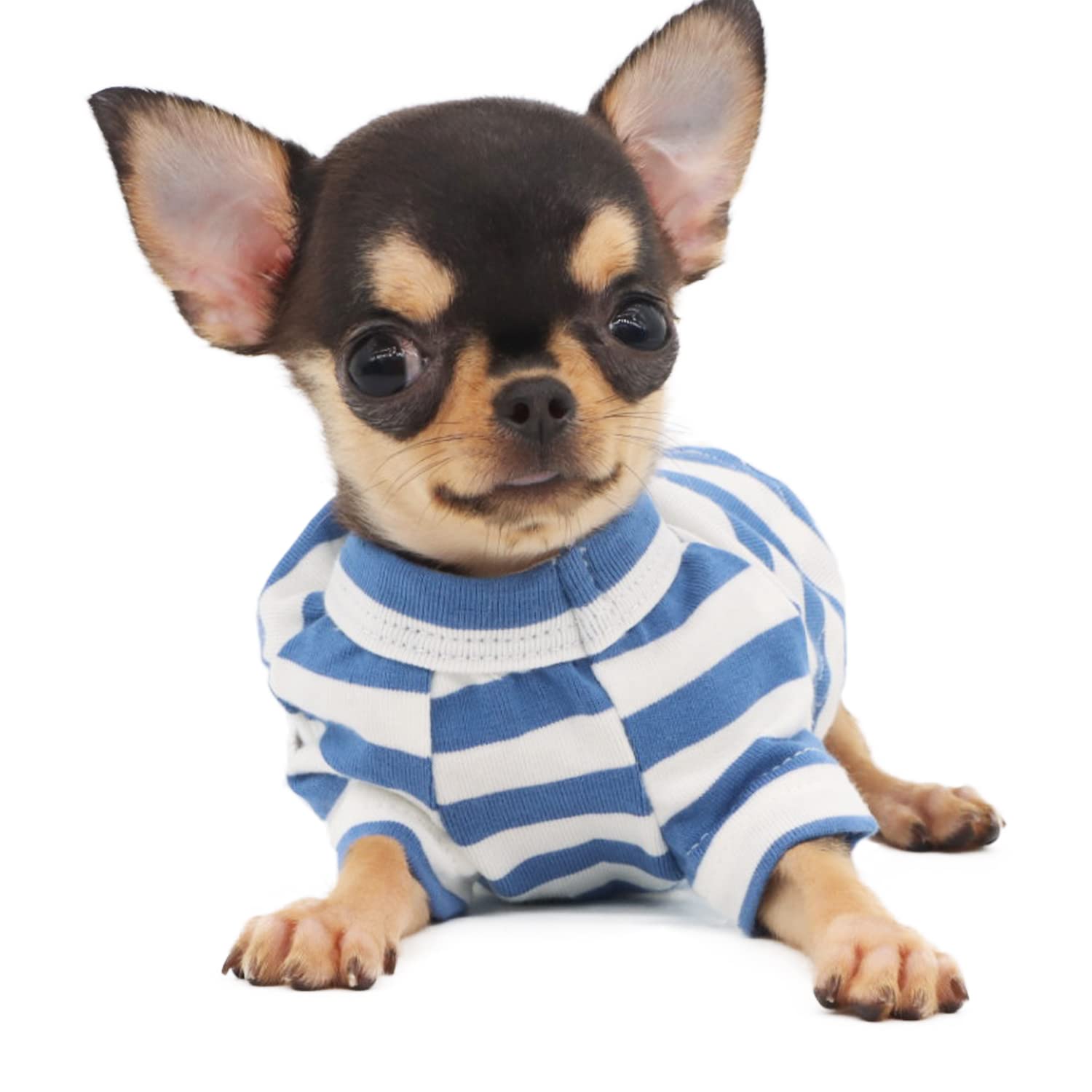 LOPHIPETS camiseta rayas azul blanco, vista trasera, ideal para paseos diarios