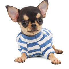 LOPHIPETS camiseta rayas azul blanco, vista trasera, ideal para paseos diarios