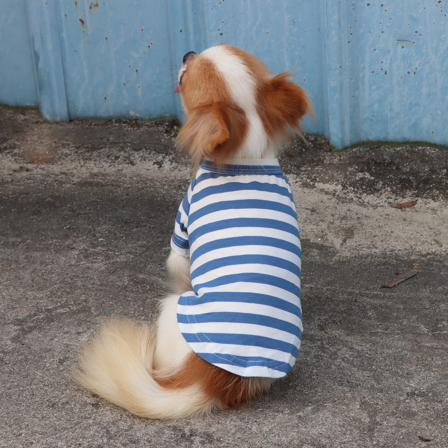 Lavado en frío recomendado para conservar suavidad y forma de la camiseta.