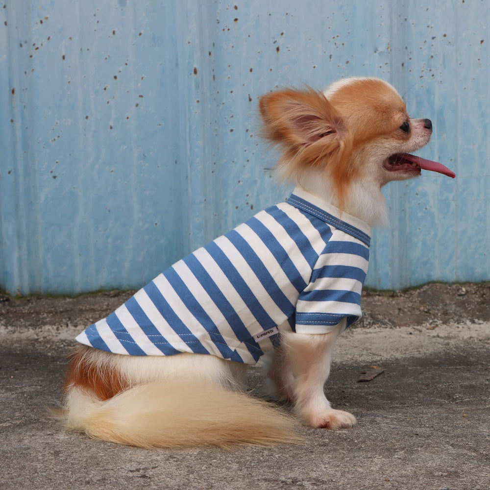 Perro con camiseta LOPHIPETS durante paseo, libertad de movimiento.