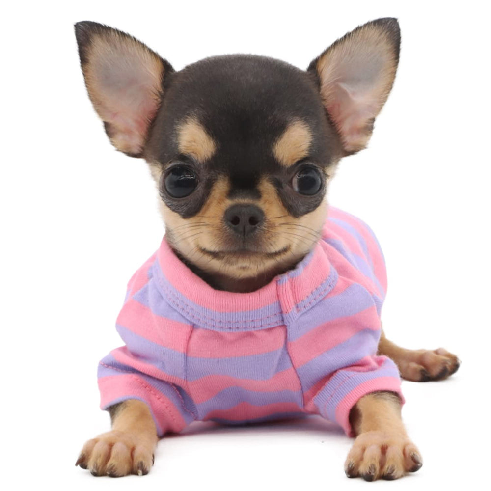 Camiseta Lophipets rayas dorso para perro pequeño en movimiento