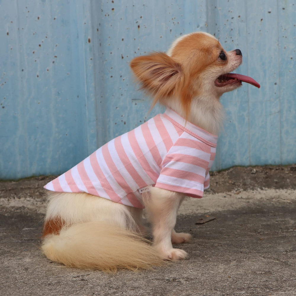 Detalle de tejido 100% algodón suave de la camiseta para perros LOPHIPETS.