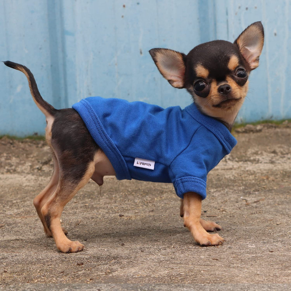 LOPHIPETS camiseta para perro uso en interiores azul, visible