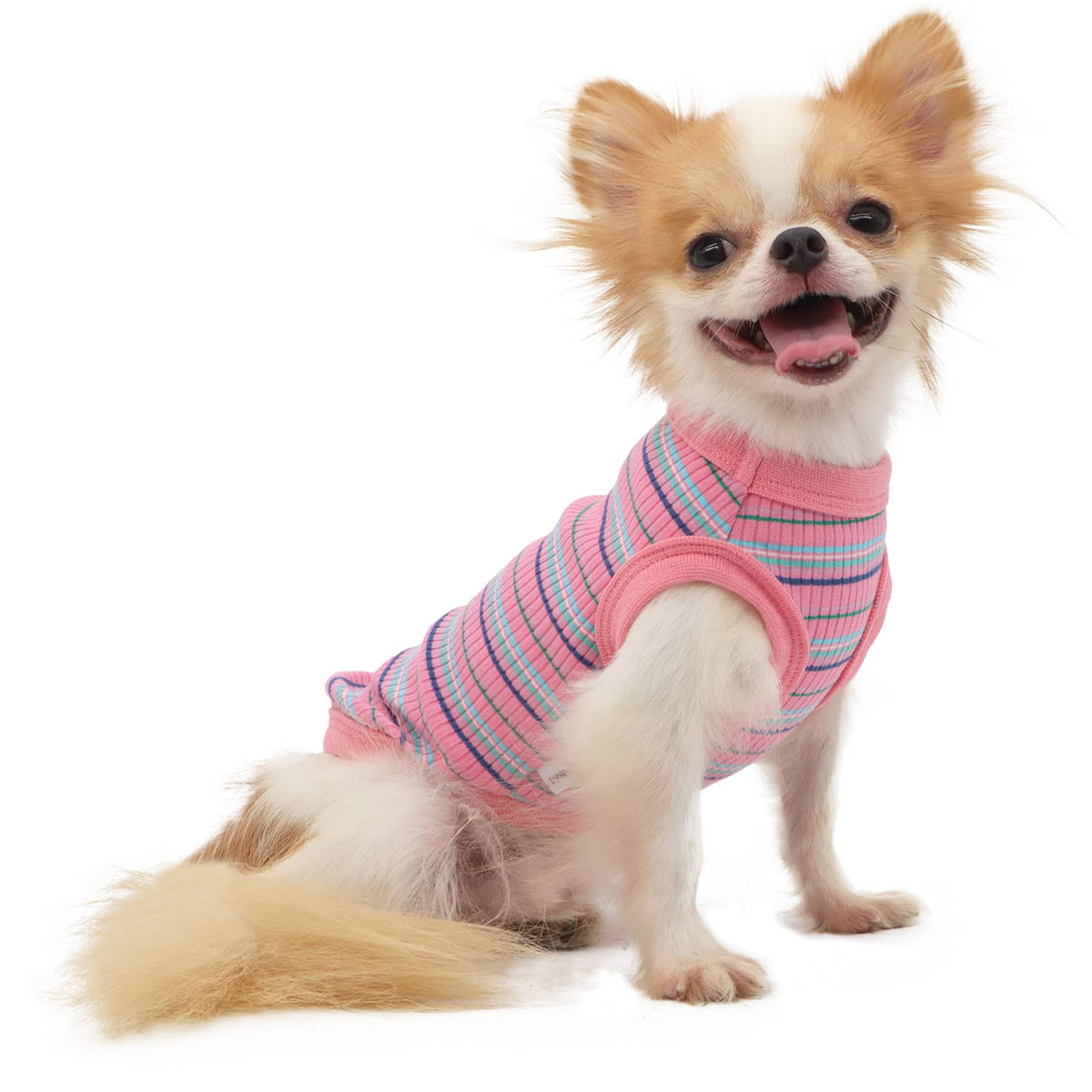 LOPHIPETS camiseta punto para perro pequeño rosa, vista frontal
