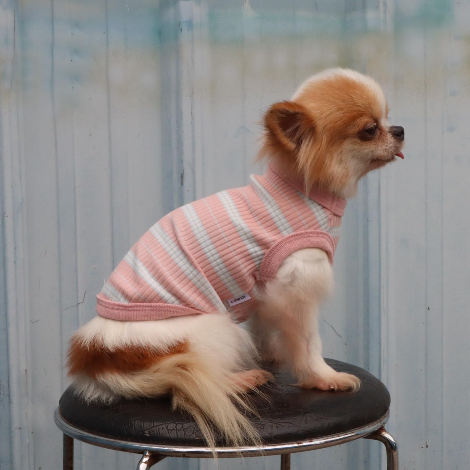 LOPHIPETS camiseta rosa claro para perro chico, look encantador en salidas