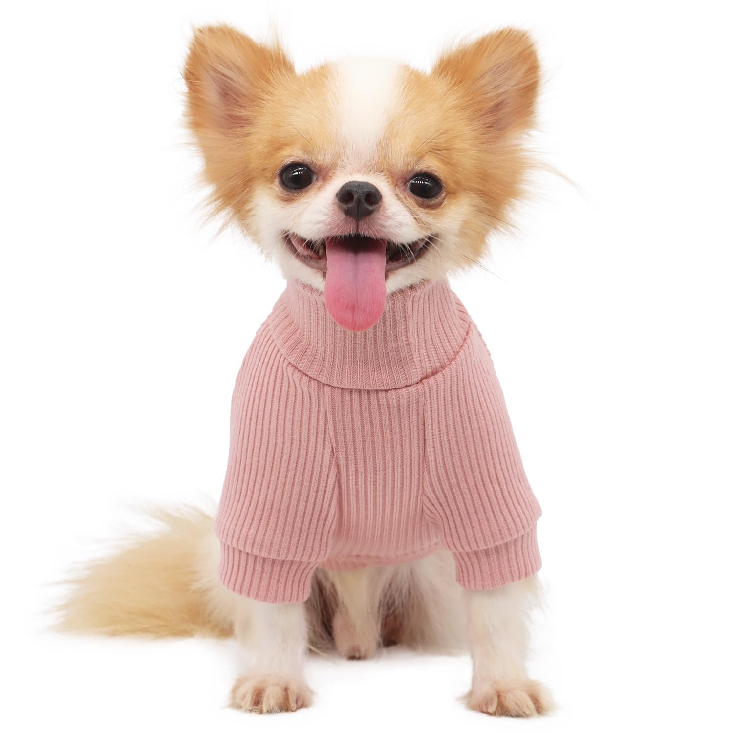 LOPHIPETS detalle cuello alto, ajuste cómodo para Chihuahua.