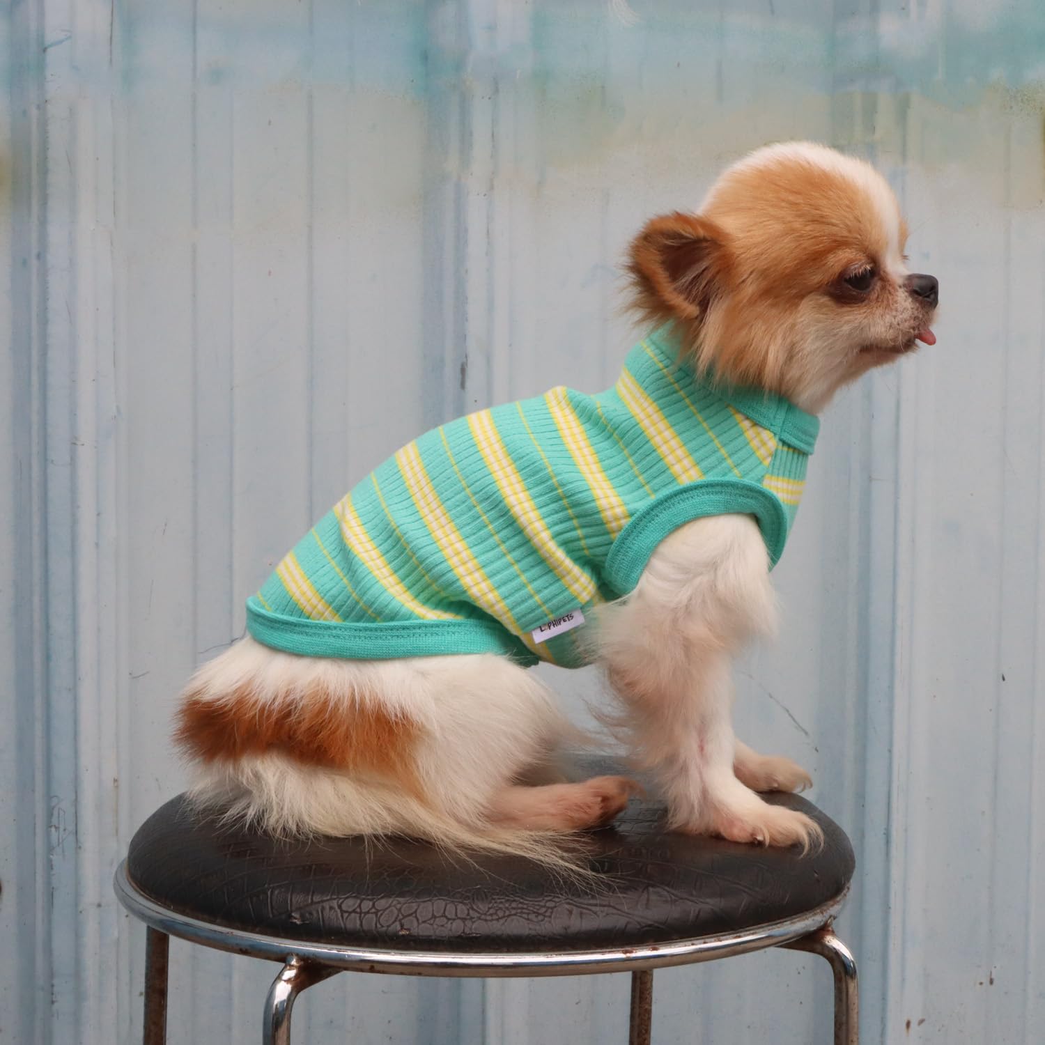 LOPHIPETS lavado a máquina en frío, limpieza rápida