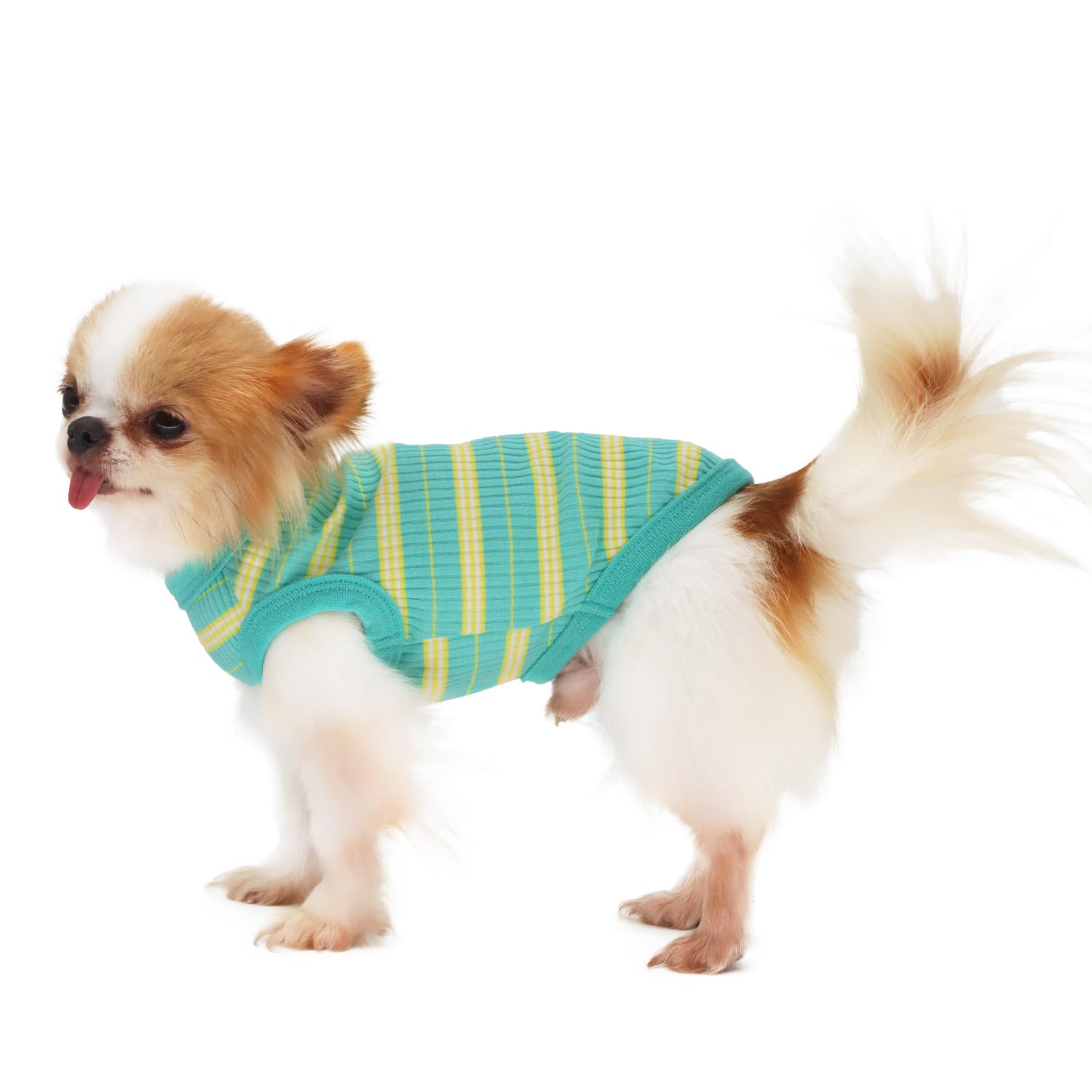 LOPHIPETS perro chihuahua-vestido-verde, color llamativo para paseos diarios
