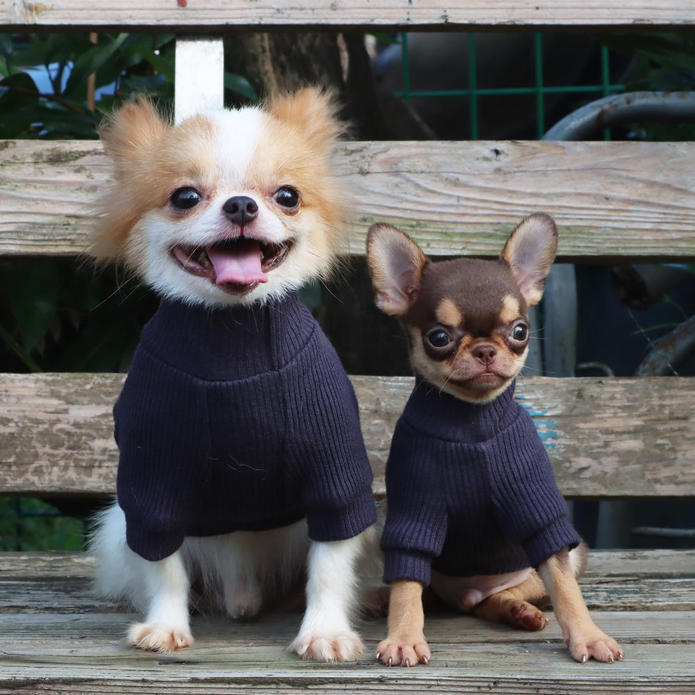 LOPHIPETS sudadera apta para lavado en frío en máquina para cuidado práctico.