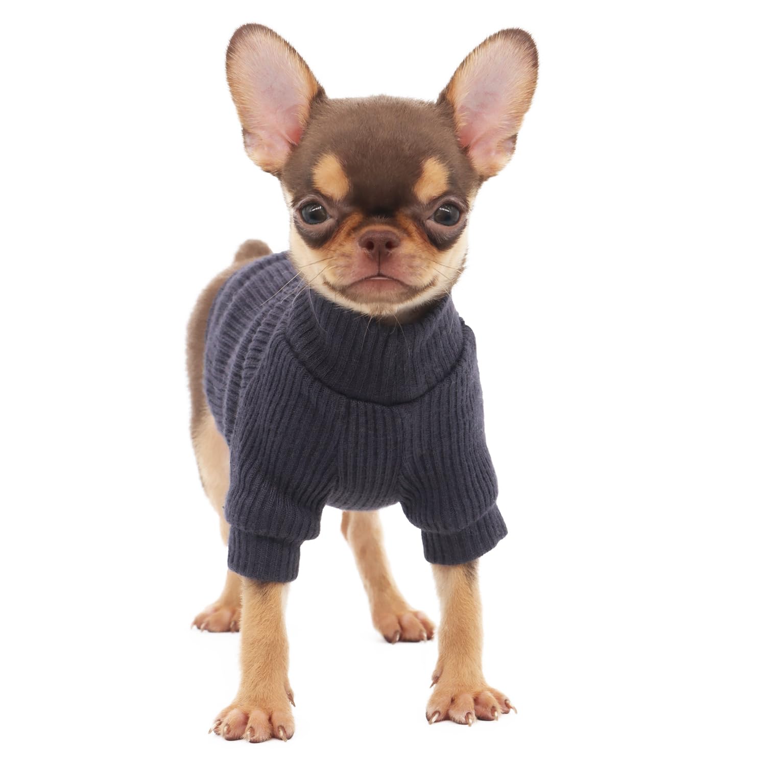 LOPHIPETS sudadera texturada y ligera en gris oscuro para días templados.