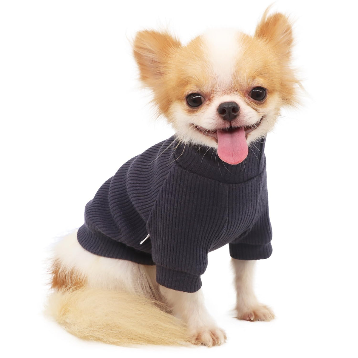 LOPHIPETS suéter cuello alto gris oscuro para Chihuahua, abrigado y suave en días fríos.