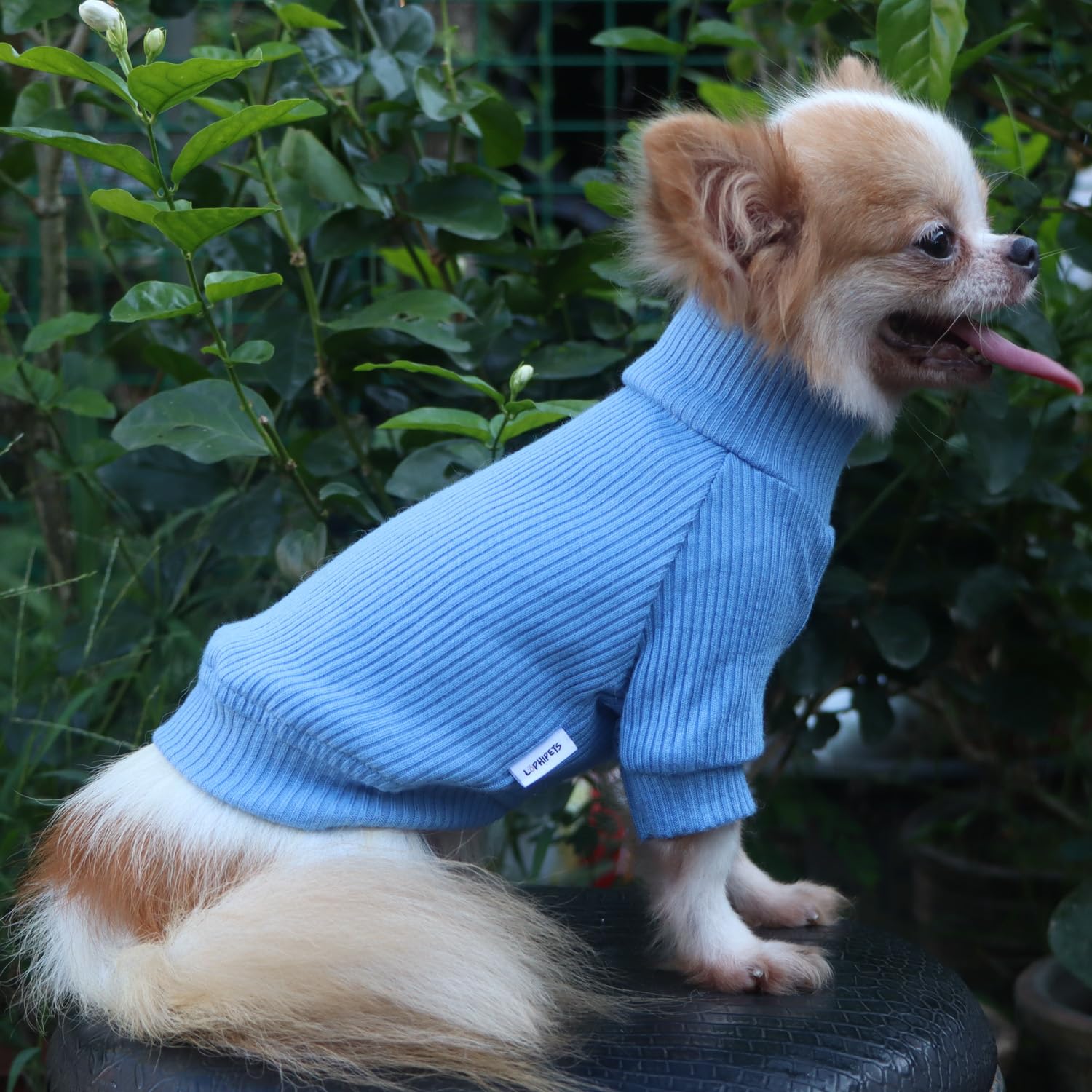 LOPHHIPETS suéter para Chihuahua, lavado en frío, mantenimiento sencillo