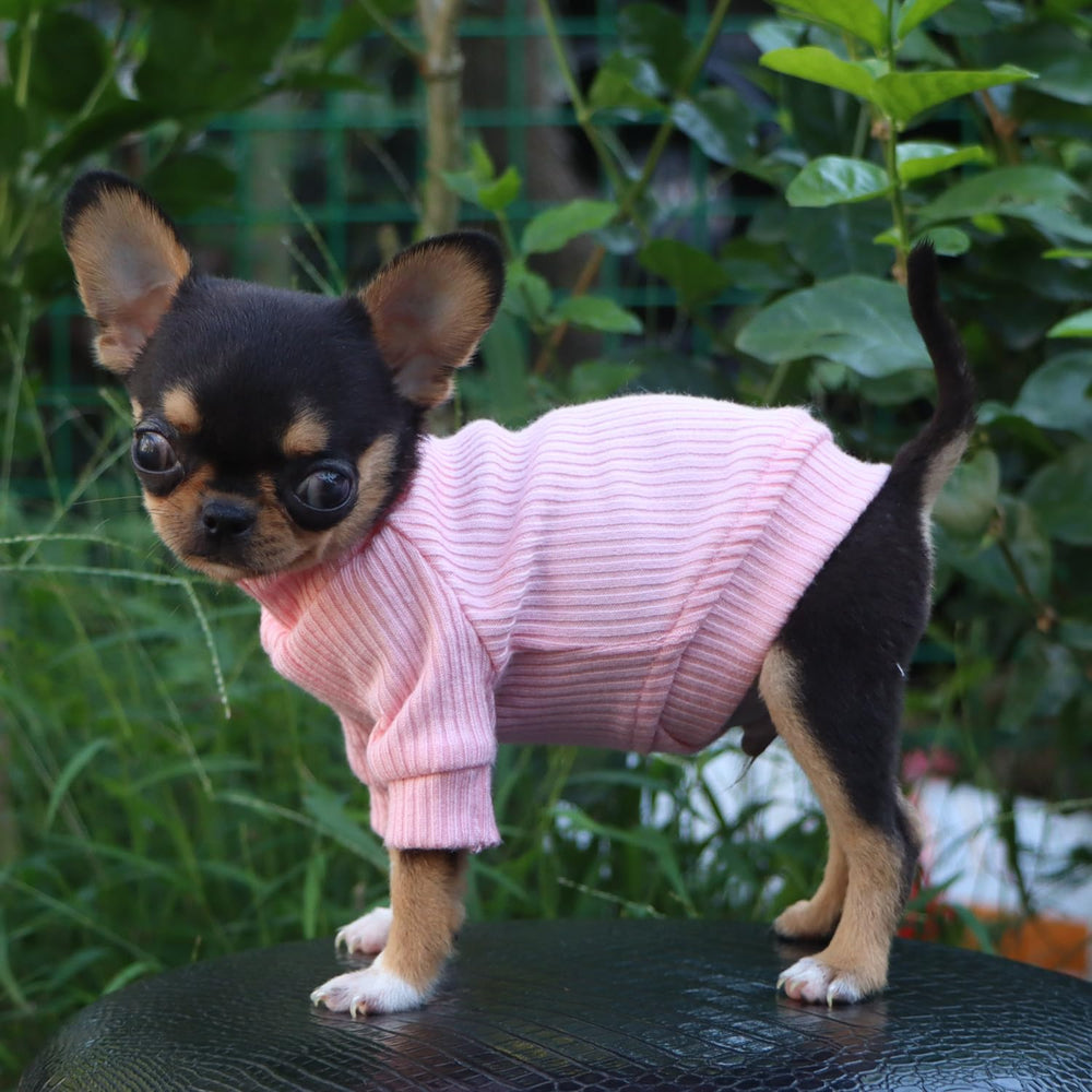 LOPHIPETS talla XXS ideal para chihuahua y yorki, ajuste seguro