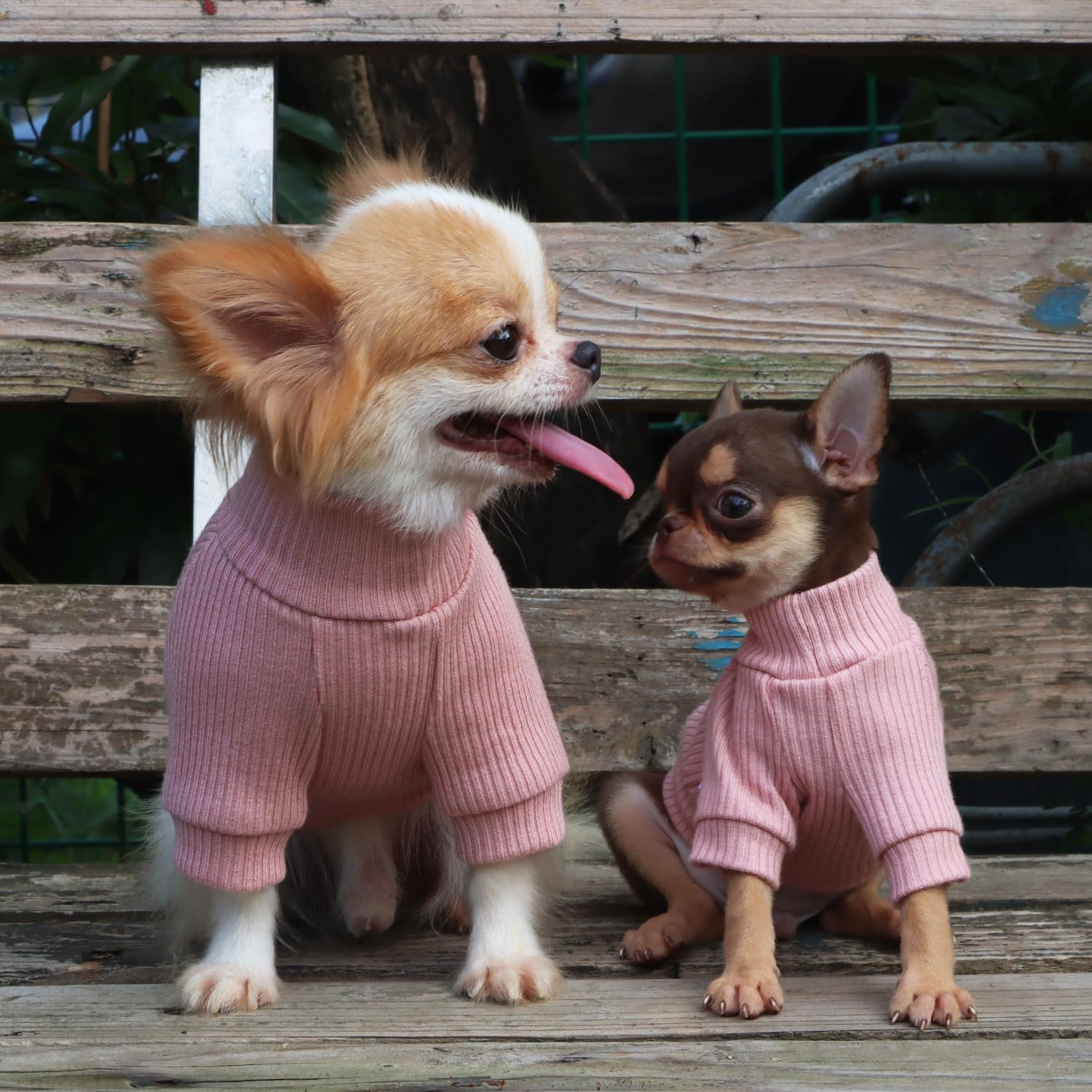 LOPHIPETS tejido ligero, movimiento libre para Chihuahua rosa.