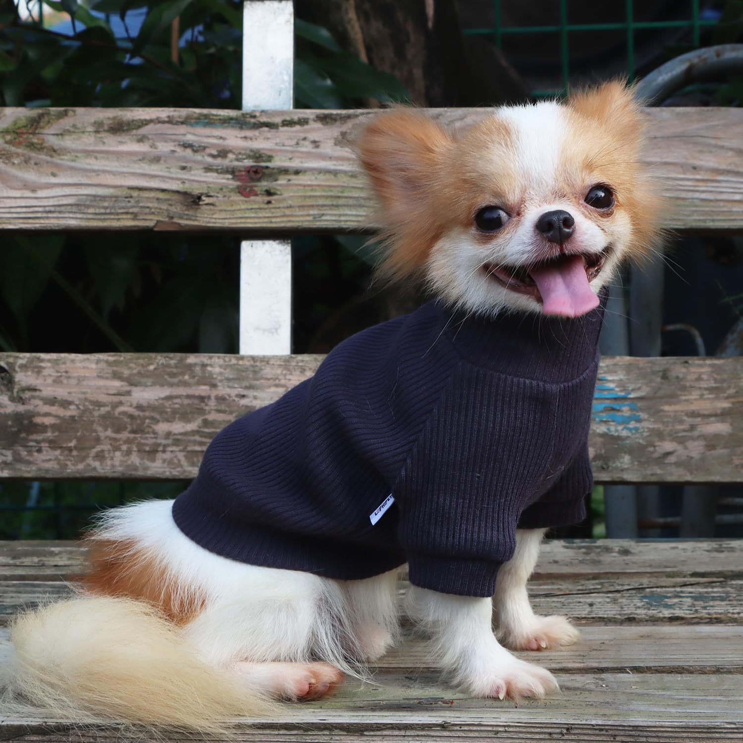LOPHIPETS uso diario, ropa ligera para días templados y actividades suaves.