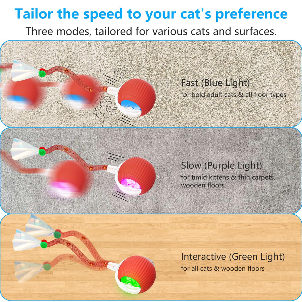 Bola LORDTEC emite sonido de pájaro para atraer curiosidad felina.