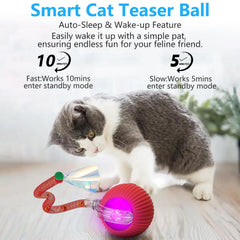 Modos de luces LORDTEC para adaptar la experiencia de juego del gato.