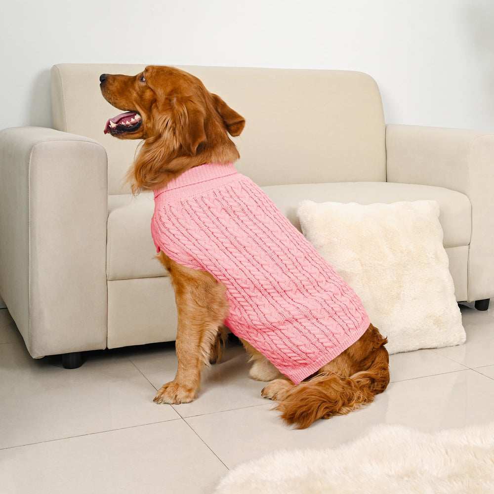 Lorehelina sudadera para perro grande, ideal para fiestas y sesiones festivas