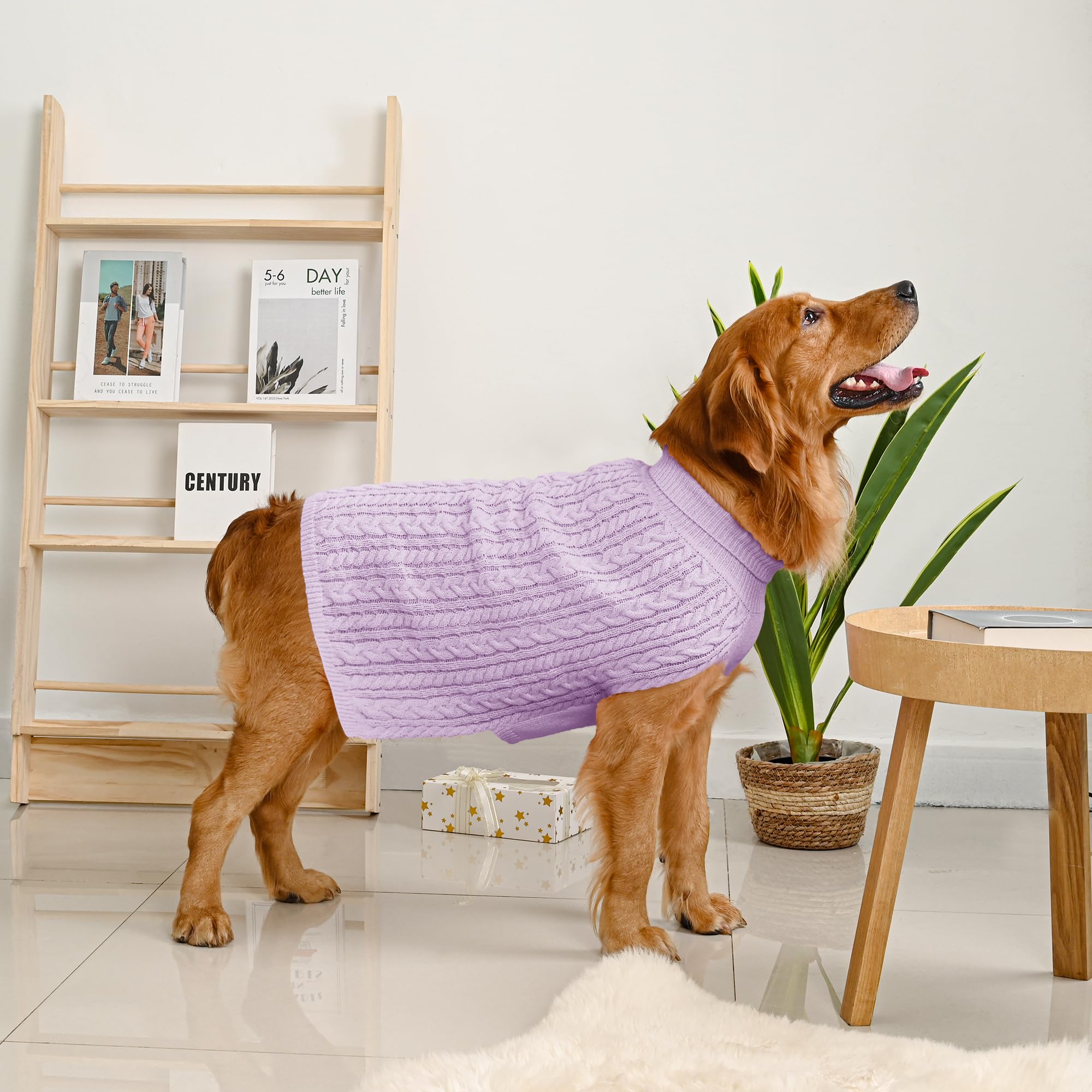 Lorehelina sudadera para perro grande, uso diario en casa con estilo cómodo